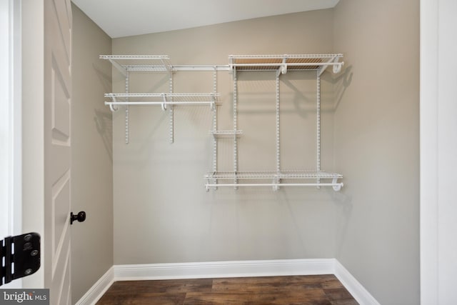 1233 Trinidad Ave NE, Washington, DC 20002 - spacious closet featuring dark wood finished floors