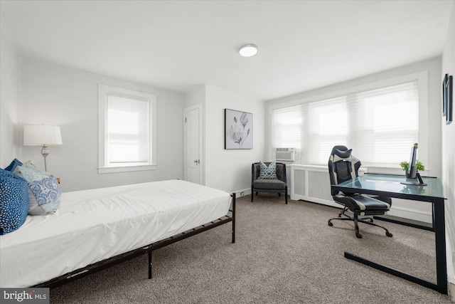 258 Pancoast Ave, Springfield, PA 19064 - bedroom featuring a desk, carpet, multiple windows, and radiator