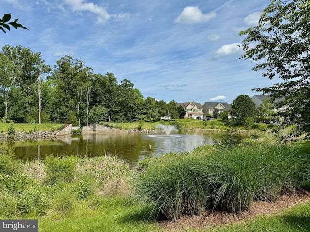 43616 Habitat Cir, Leesburg, VA 20176 - water view
