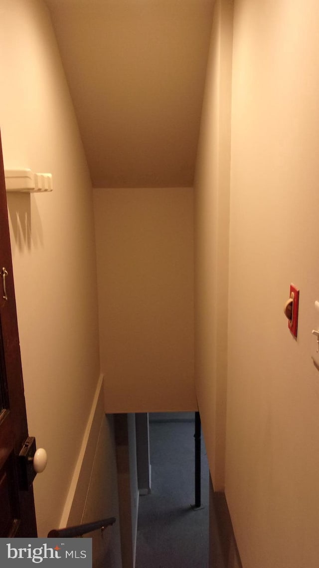 139 N 11th St, Allentown, PA 18102 - stairway with carpet floors
