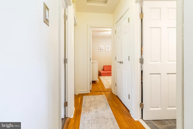 4715 Courtland St, Camp Hill, PA 17011 - hallway with light wood finished floors