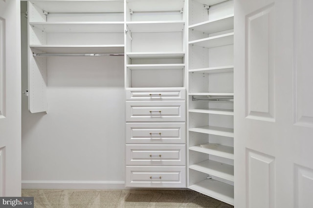 1050 Northfalls Ct, Great Falls, VA 22066 - spacious closet featuring carpet floors