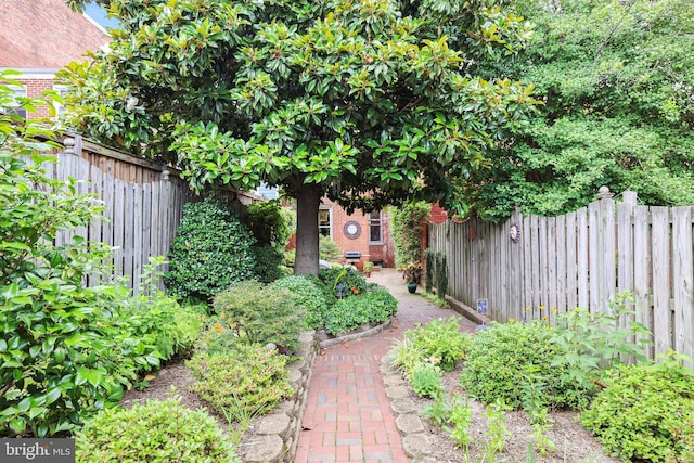 637 Constitution Ave NE, Washington, DC 20002 - view of fenced backyard
