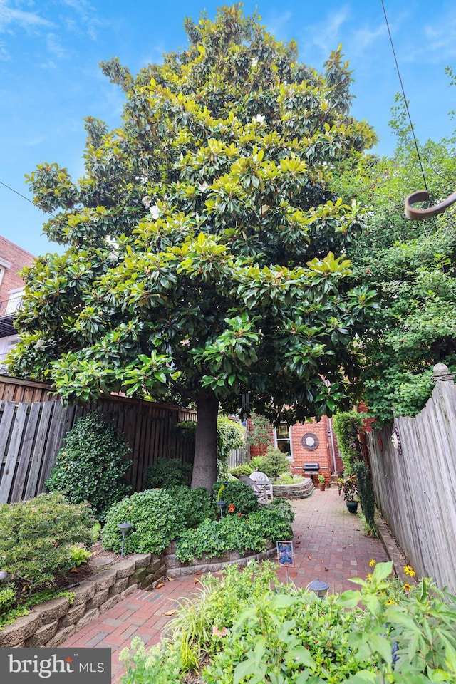 637 Constitution Ave NE, Washington, DC 20002 - fenced backyard featuring a patio