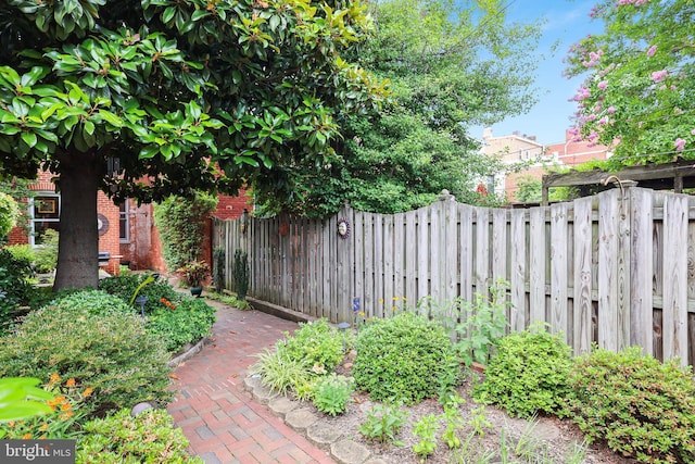 637 Constitution Ave NE, Washington, DC 20002 - view of yard