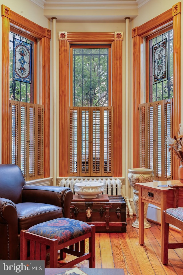 637 Constitution Ave NE, Washington, DC 20002 - living area with ornamental molding and wood finished floors