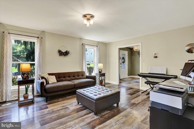 808 Redwood Ave, Reading, PA 19610 - living room with plenty of natural light and wood finished floors