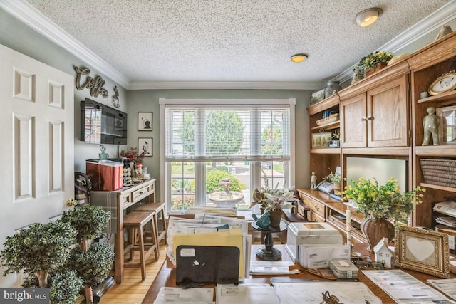 2404 Elfreths Aly, Bensalem, PA 19020 - office space featuring light wood-style floors, crown molding, and a textured ceiling