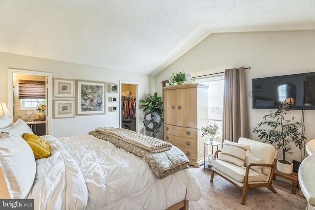 2404 Elfreths Aly, Bensalem, PA 19020 - bedroom featuring multiple windows, a walk in closet, vaulted ceiling, carpet flooring, and a closet