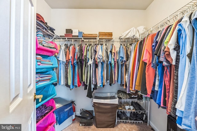 2404 Elfreths Aly, Bensalem, PA 19020 - walk in closet featuring carpet floors