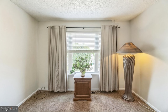 2404 Elfreths Aly, Bensalem, PA 19020 - sitting room with a textured ceiling and carpet flooring