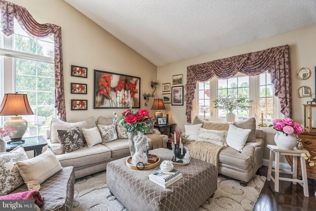 2404 Elfreths Aly, Bensalem, PA 19020 - living area featuring a textured ceiling, wood finished floors, and high vaulted ceiling