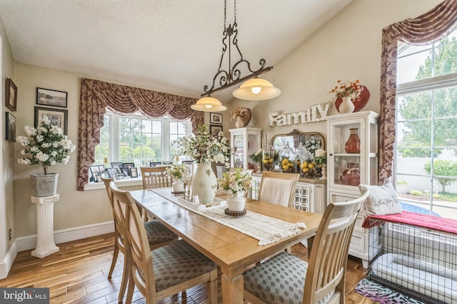 2404 Elfreths Aly, Bensalem, PA 19020 - dining area featuring a textured ceiling and hardwood / wood-style flooring