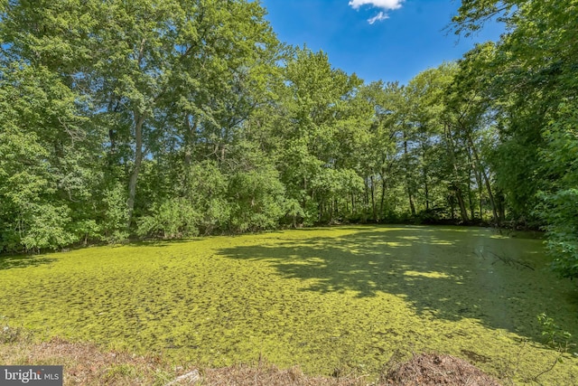 17 Sportsmans Rd, Carneys Point, NJ 08069 - view of green lawn featuring a forest view