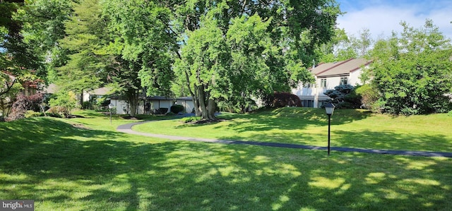 66 Twin Brooks Dr, Willow Grove, PA 19090 - view of green lawn