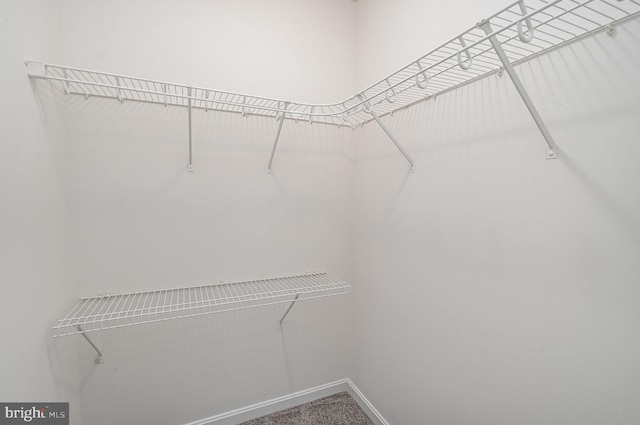 114 Dragoon Dr, Montross, VA 22520 - walk in closet with carpet