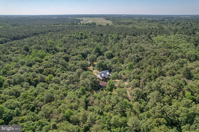 25036 Becks Ln, Georgetown, DE 19947 - aerial view of a heavily wooded area