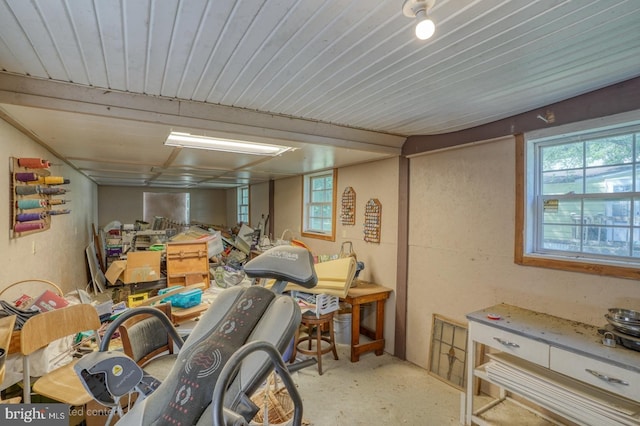 25036 Becks Ln, Georgetown, DE 19947 - basement featuring healthy amount of natural light