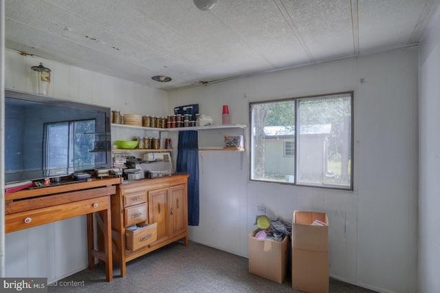 25036 Becks Ln, Georgetown, DE 19947 - kitchen featuring open shelves, carpet, and wood walls