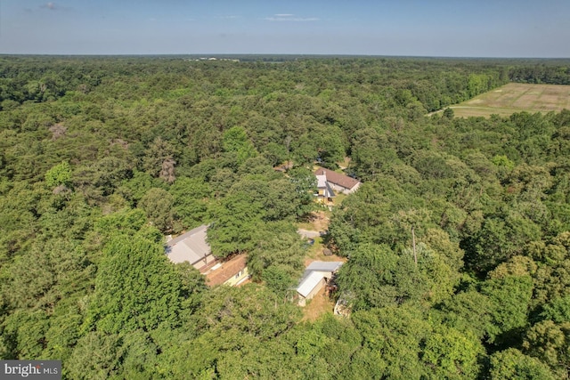 25036 Becks Ln, Georgetown, DE 19947 - aerial view of property's location featuring a forest