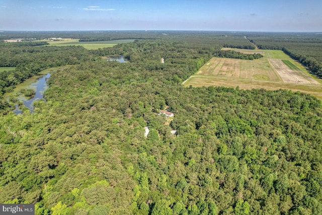 25036 Becks Ln, Georgetown, DE 19947 - view of property location with a forest and a nearby body of water