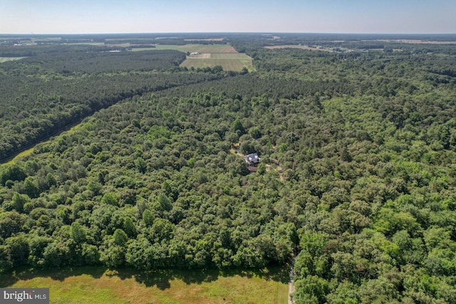 25036 Becks Ln, Georgetown, DE 19947 - drone / aerial view of a heavily wooded area