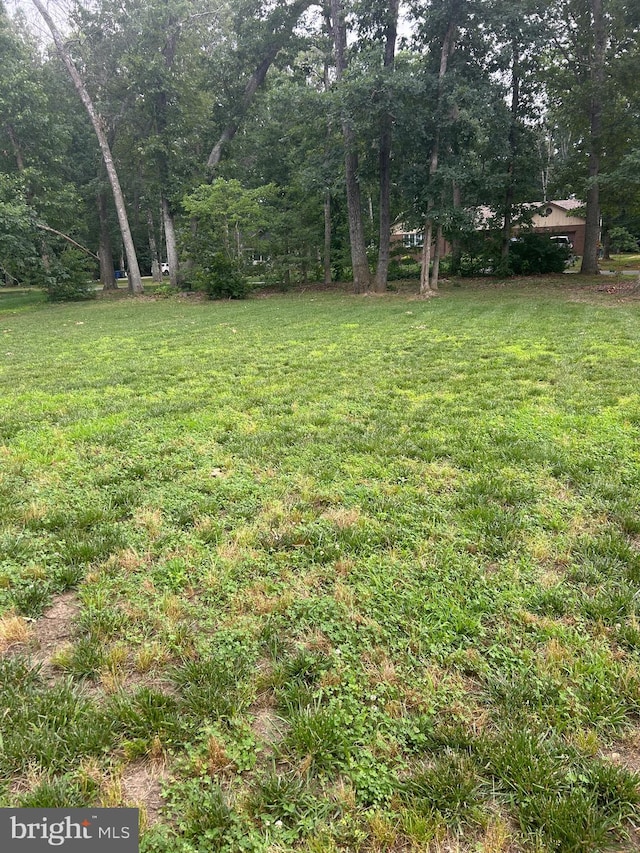 655 Morris Ave, Newfield, NJ 08344 - view of green lawn