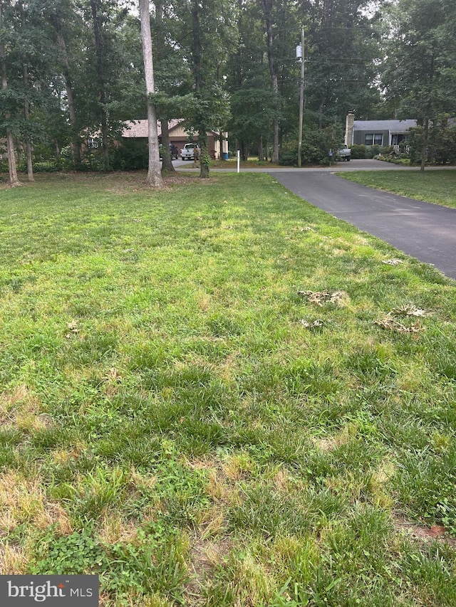 655 Morris Ave, Newfield, NJ 08344 - view of green lawn