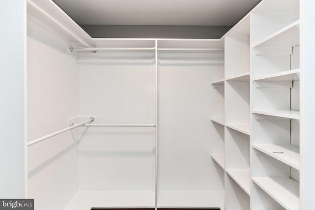 2432 S Culpeper St, Arlington, VA 22206 - view of spacious closet