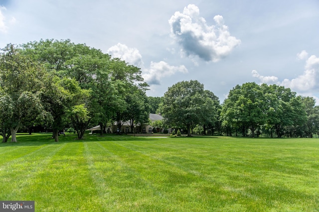 160 Fox Rd, Palmyra, PA 17078 - view of green lawn