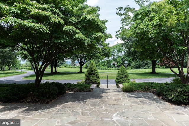 160 Fox Rd, Palmyra, PA 17078 - view of community featuring a yard