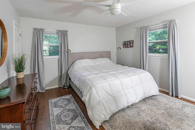 10 Camelia Ct, Lawrence Township, NJ 08648 - bedroom with dark wood-style floors, multiple windows, and a ceiling fan