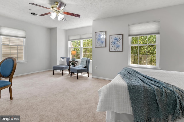 2508 Smoketree Ln, Crofton, MD 21114 - bedroom with carpet, a textured ceiling, and ceiling fan