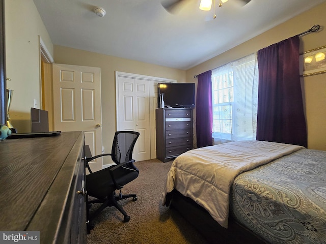 476 W Harvest Ln, Middletown, DE 19709 - carpeted bedroom with a closet, an office area, and a ceiling fan