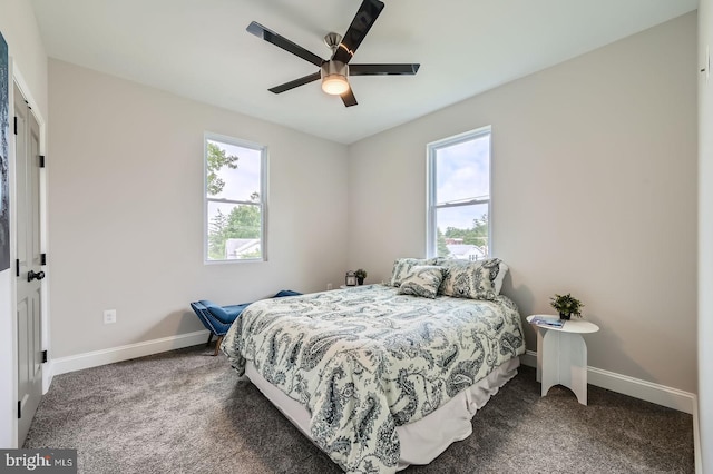 3704 Frankford Ave, Baltimore, MD 21206 - bedroom with multiple windows, carpet, and ceiling fan