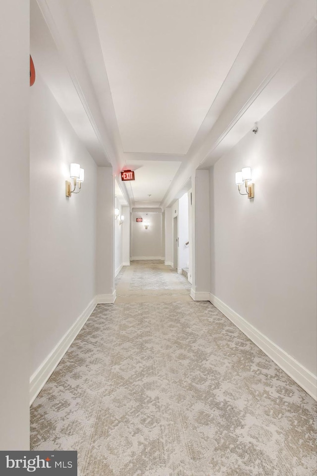 1619 R St NW Unit 501, Washington, DC 20009 - hall featuring carpet and baseboards