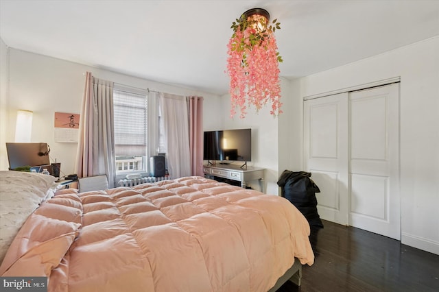 2467 79th Ave, Philadelphia, PA 19150 - bedroom featuring dark wood finished floors and a closet