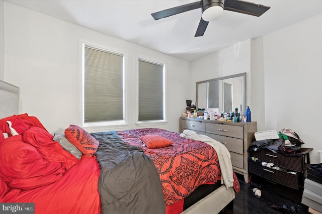 2467 79th Ave, Philadelphia, PA 19150 - bedroom with wood finished floors and a ceiling fan