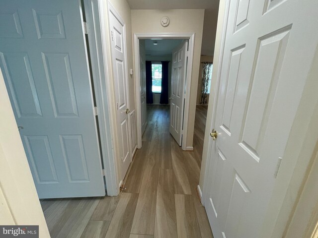 1103 Jousting Way, Mount Airy, MD 21771 - hall featuring light wood-style floors and baseboards