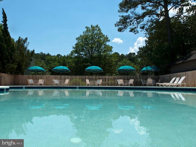 39334 Tall Pines Ct Unit 15001, Bethany Beach, DE 19930 - view of community pool