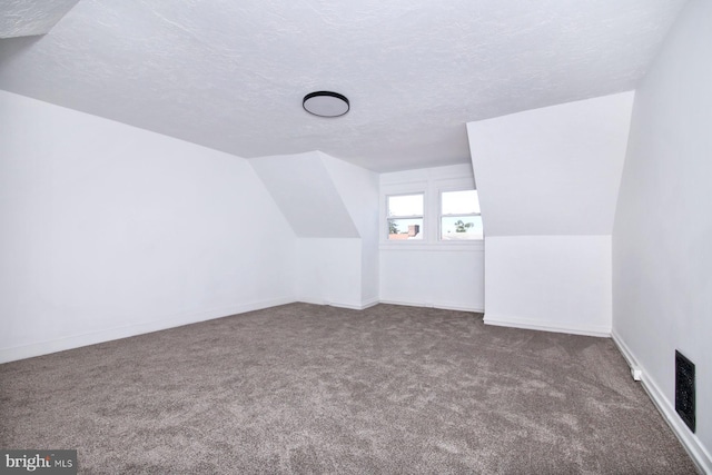 14 S 11th St, Lebanon, PA 17042 - bonus room featuring carpet floors, a textured ceiling, and vaulted ceiling