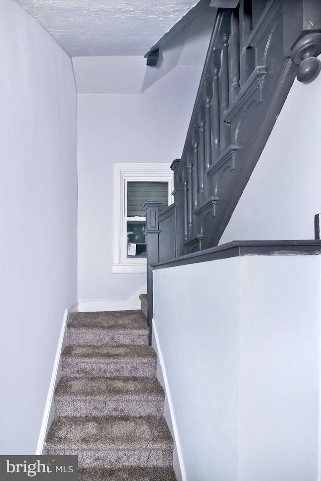 14 S 11th St, Lebanon, PA 17042 - stairs with baseboards and carpet flooring