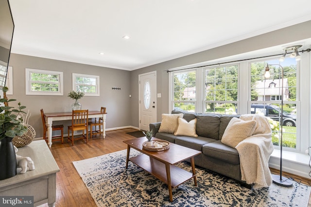 6910 Quander Rd, Alexandria, VA 22307 - living room with crown molding, wood finished floors, and recessed lighting