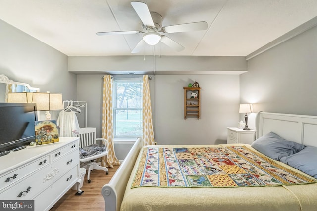 501 N Bethlehem Pike Unit 14-Q, Ambler, PA 19002 - bedroom featuring light wood-type flooring and a ceiling fan
