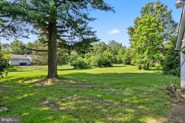 431 E Summit Ave, Telford, PA 18969 - view of green lawn
