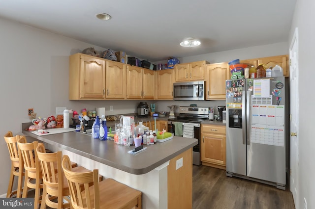 206 Lighthouse Dr, Jonestown, PA 17038 - kitchen with stainless steel appliances, a peninsula, a kitchen breakfast bar, dark wood finished floors, and light brown cabinets