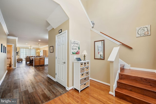 45 Harcrest Ct, Dover, DE 19901 - stairs featuring crown molding and hardwood / wood-style floors
