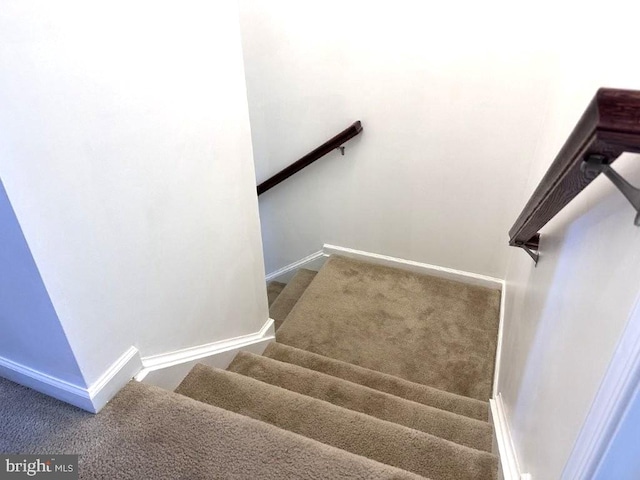 18 Kilgore Way, Bunker Hill, WV 25413 - stairs with carpet floors