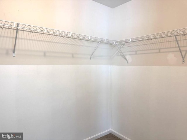 18 Kilgore Way, Bunker Hill, WV 25413 - view of spacious closet