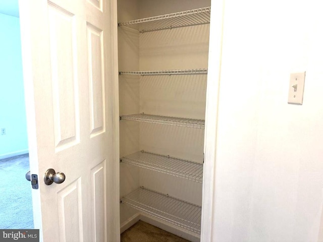 18 Kilgore Way, Bunker Hill, WV 25413 - view of closet